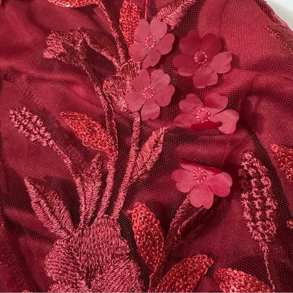 Torrid Red feminine whimsical, whimsy Floral Lace Mini Dress size 12 NWT - Picture 11 of 12